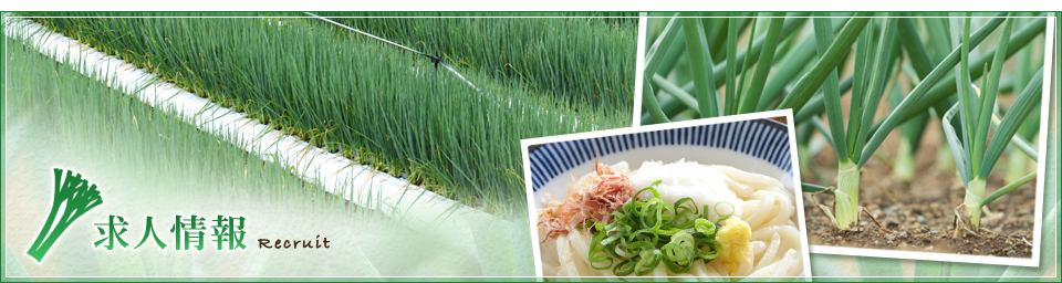 求人情報